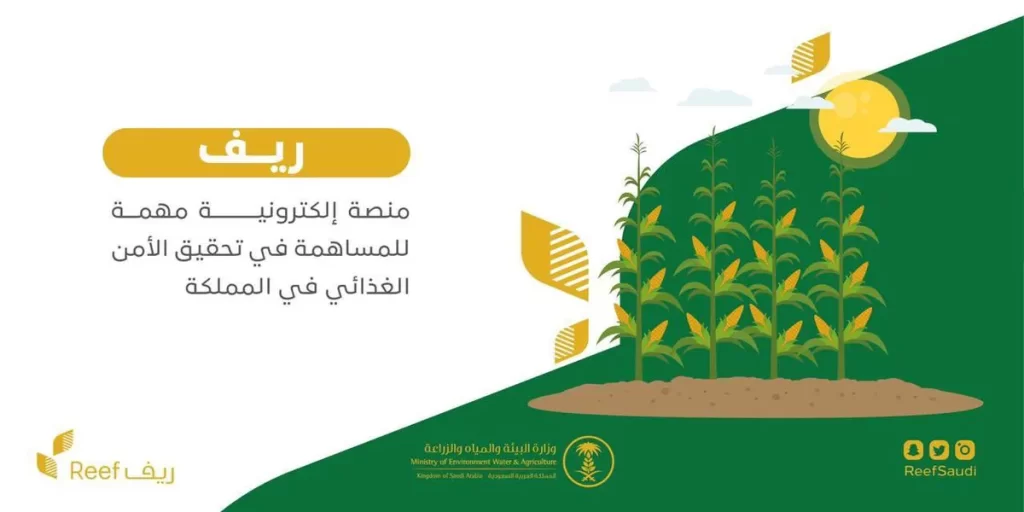 دعم ريف للعاطلين