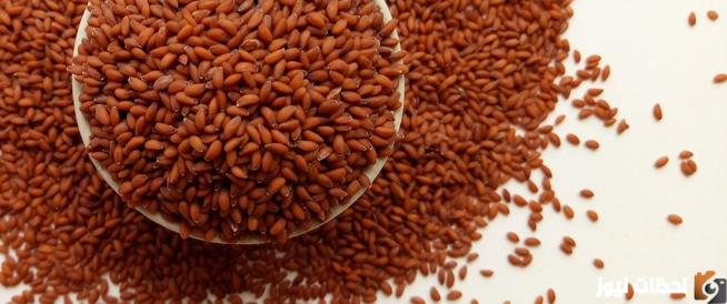 فوائد حب الرشاد للجسم وأضرار تناوله