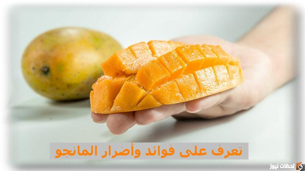 فوائد وأضرار فاكهة المانجو