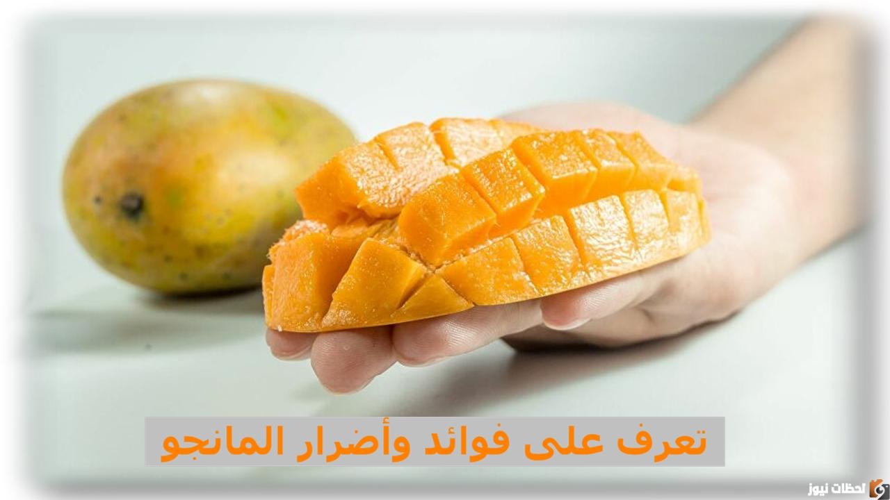 فوائد وأضرار فاكهة المانجو