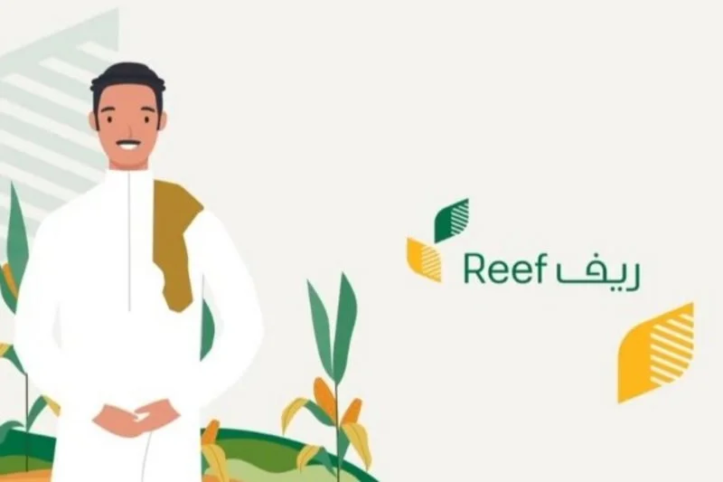 استعلام عن دعم ريف برقم الهوية لشهر يناير