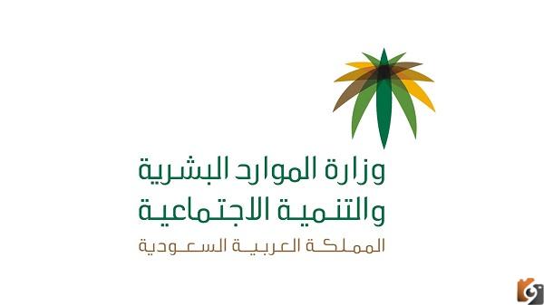 استعلام عن نطاق شركة برقم العامل أو رقم الهوية