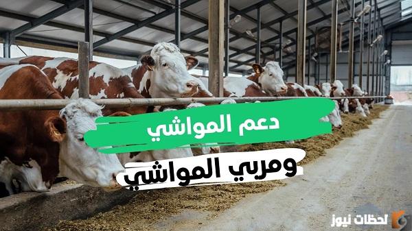 شروط دعم المواشي للنساء