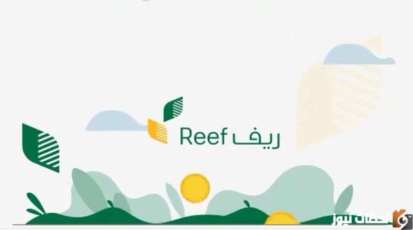 كم دعم ريف لربات البيوت