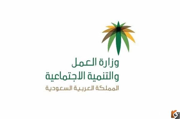الاستعلام عن نطاق المنشأة برقم الهوية