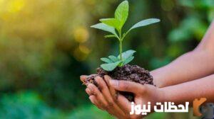 معلومات عن اليوم العالمي للتطوع في السعودية