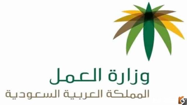 فهم مادة 77 من نظام العمل السعودي: حقوق الموظفين والعملاء