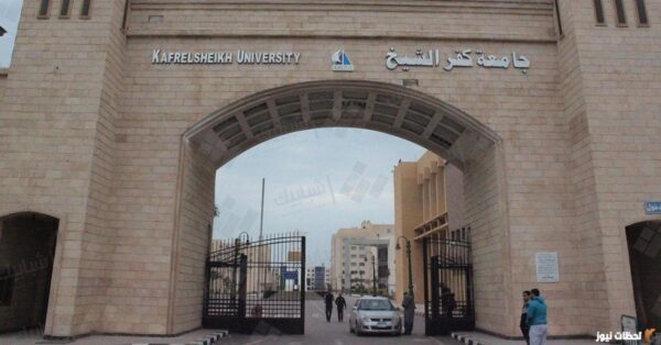 نتائج الطلاب بالرقم الجلوس 2023 موقع نتيجة جامعة كفر الشيخ.. موقع وزارة التربية والتعليم نتائج الامتحانات
