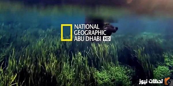 شاهد تردد قناة ناشيونال جيوغرافيك الجديد National Geographic Channel مجموعة ترددات قناة ناشيونال جيوغرافيك