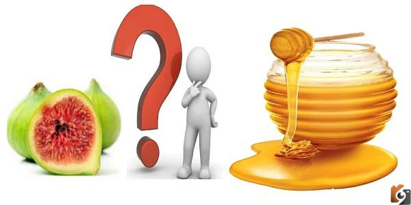 طعامه التين والعسل ويضرب به المثل ما هو؟ حل اللغز