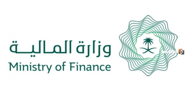 العوائد السنوية