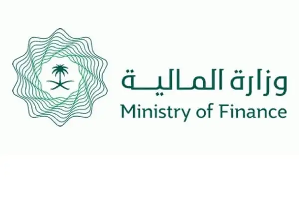 اضافة الابناء في العوائد السنويه