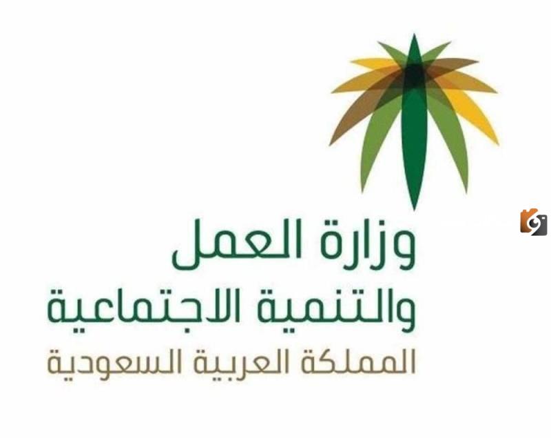الاستعلام عن الضمان الاجتماعي المطور