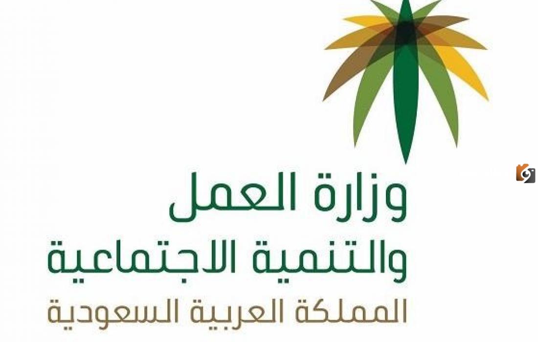 الاستعلام عن المساعدة المقطوعة برقم الطلب