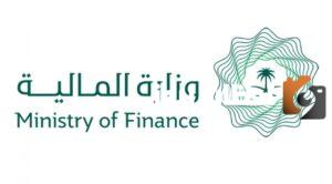 العوائد السنوية