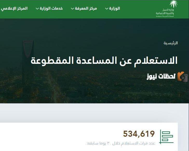 برنامج مساند الضمان الاجتماعي