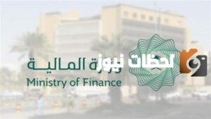 تاريخ إيداع العوائد السنوية