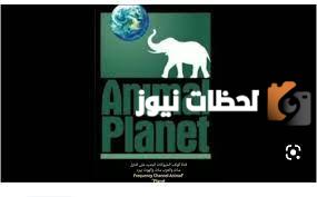 تردد قناة كوكب الحيوانات الجديد