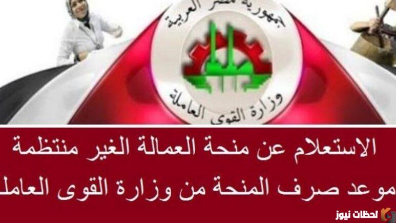 موقع وزارة القوي العاملة
