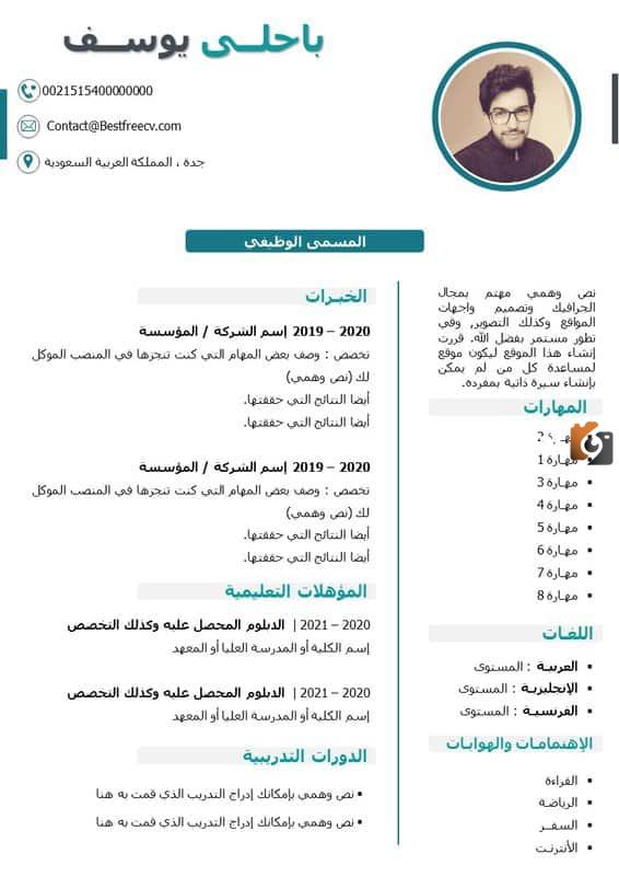نموذج سيرة ذاتية عربي