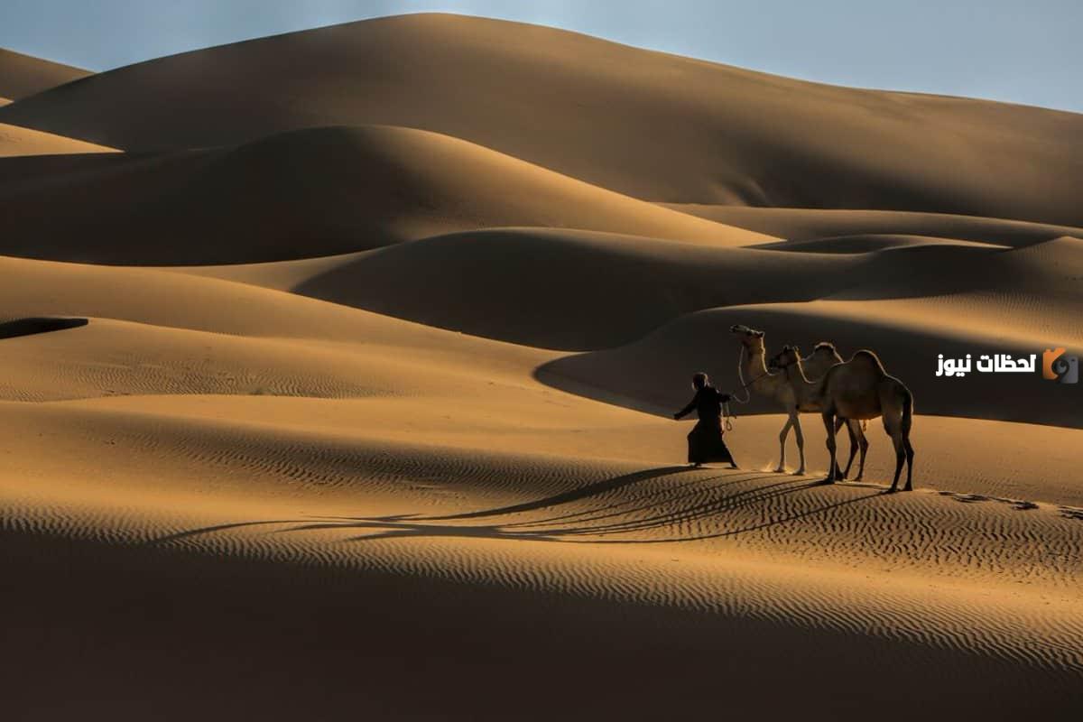 من هم أبرز شخصيات عائلة النصافي