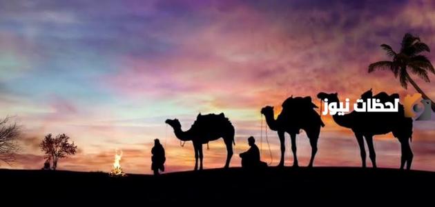 311 رمز اي قبيله