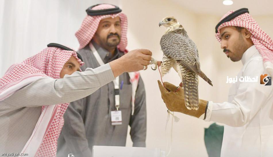 معرض الصقور والصيد السعودي الدولي 1445