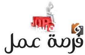 وظائف خالية