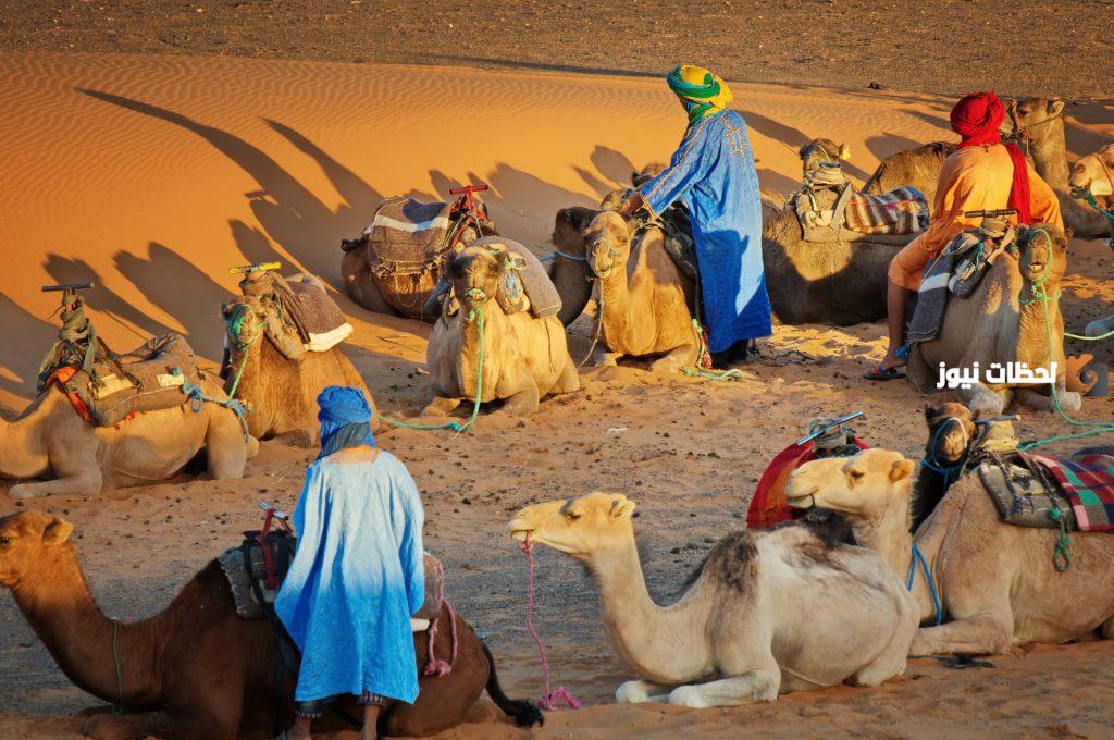 أصل عائلة الكندري وش يرجعون