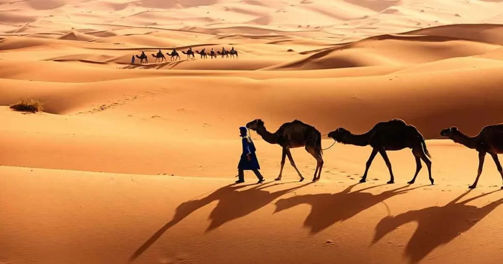 أصل قبيلة العياضي