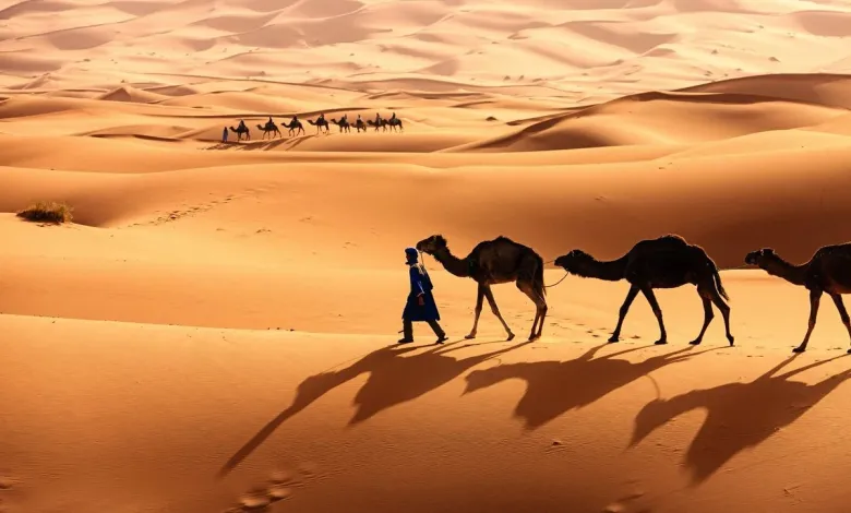 أصل قبيلة المولد وش يرجعون وسبب تسميتهم بهذا الاسم