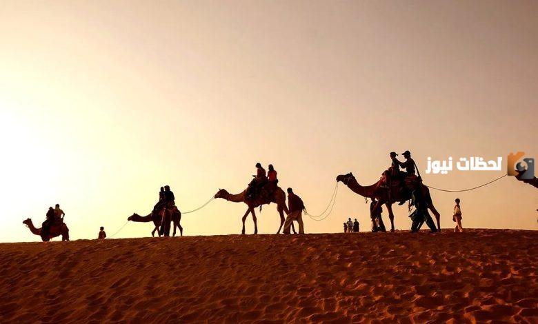 أصل ونسب عائلة آل الشيخ وش يرجع ؟