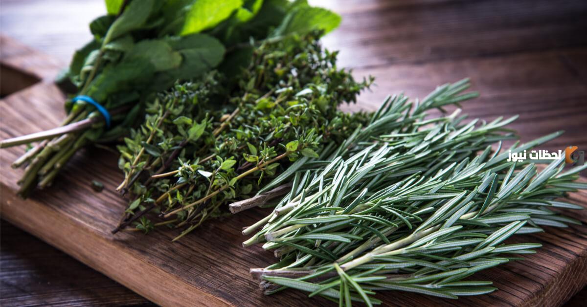 أعشاب تحرق الدهون وتنزل الوزن مجربة وفعالة