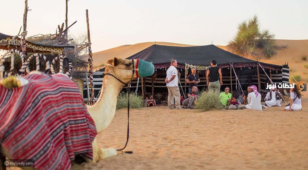 أقوى 5 قبائل في العالم العربي بالترتيب