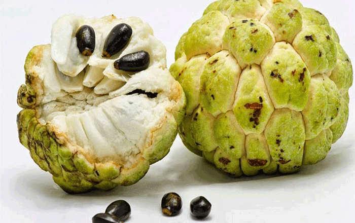 أين توجد فاكهة القشطة
