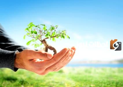 إذاعة مدرسية عن البيئة