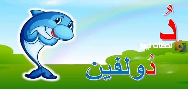 اسم حيوان بحرف الدال