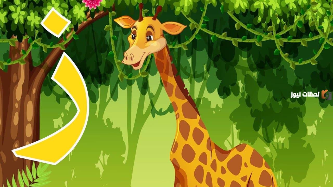 اسم حيوان بحرف الزاي   