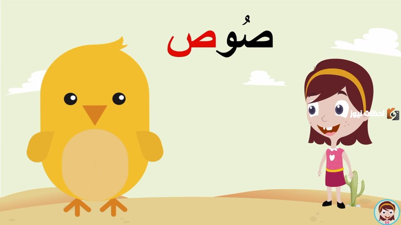 اسم حيوان بحرف الصاد