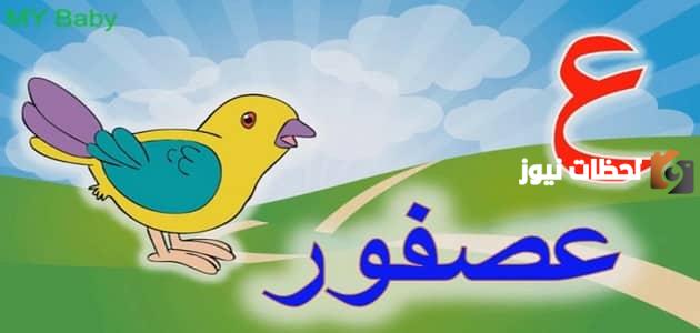 اسم حيوان بحرف العين
