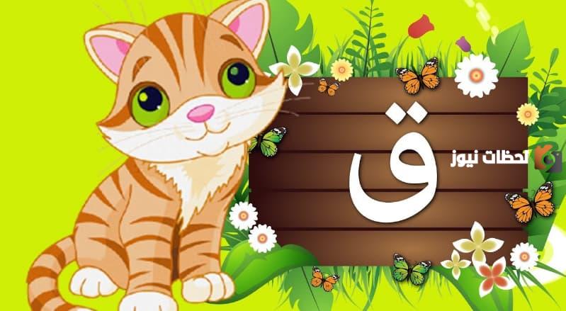 اسم حيوان بحرف القاف