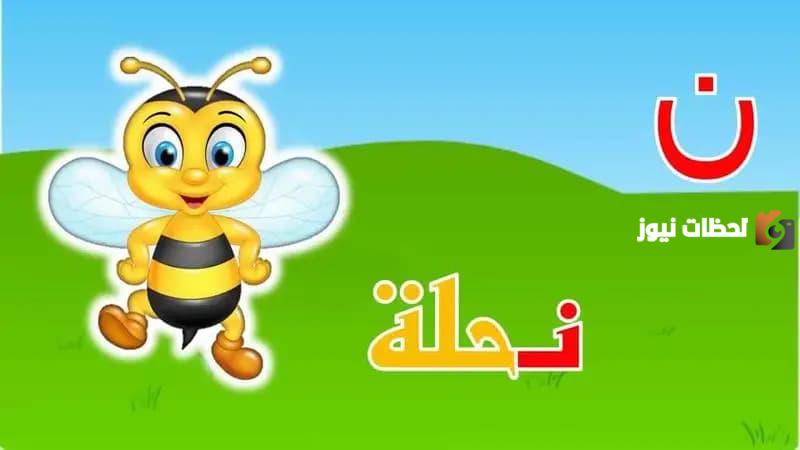 اسم حيوان بحرف النون