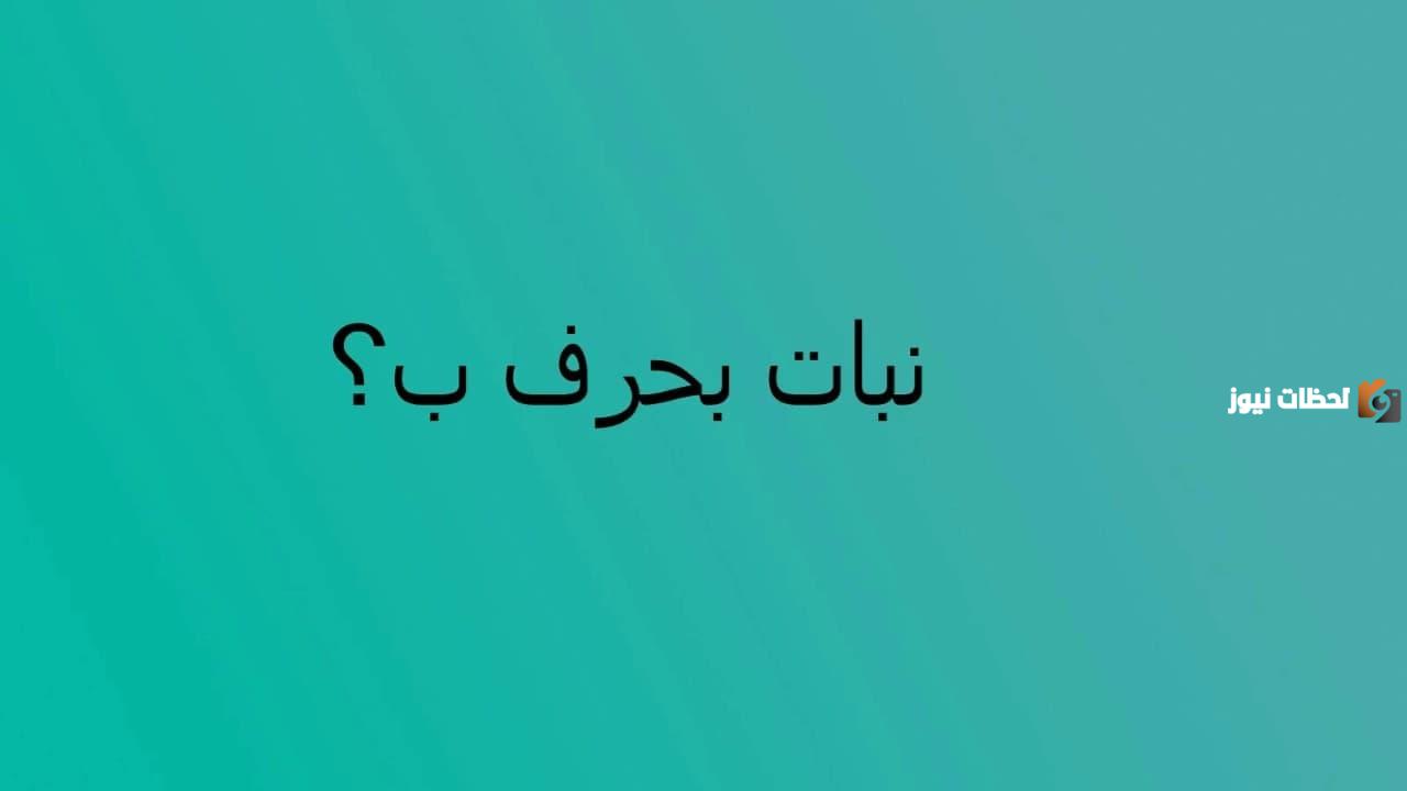 اسم نبات بحرف الباء