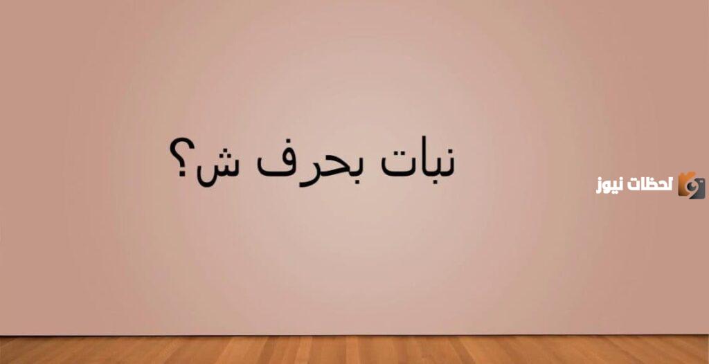 اسم نبات بحرف الشين