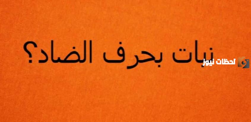 اسم نبات بحرف الضاد