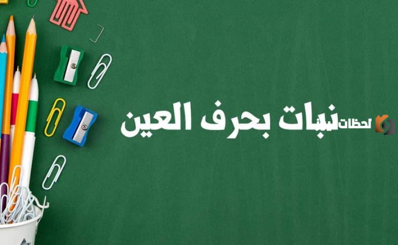 اسم نبات بحرف العين