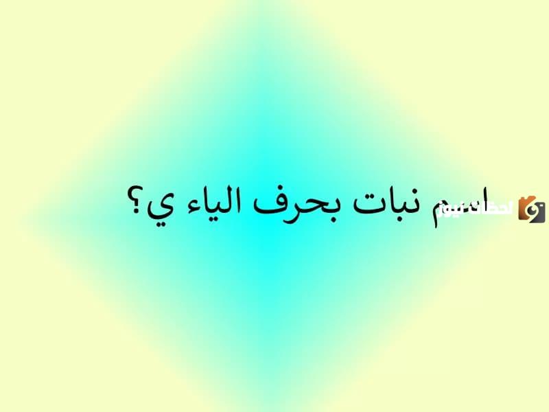 اسم نبات بحرف الياء