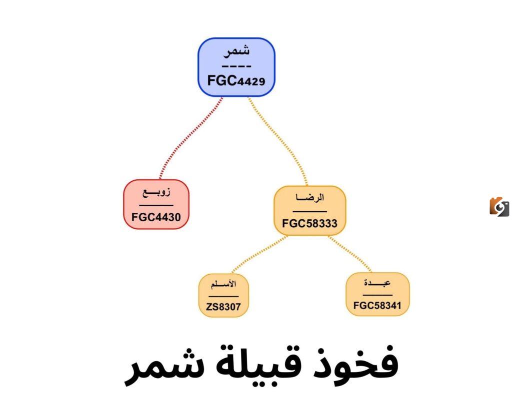 اسماء قبيلة شمر من شيوخ وعوائل القبيلة