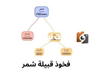 اسماء قبيلة شمر من شيوخ وعوائل القبيلة