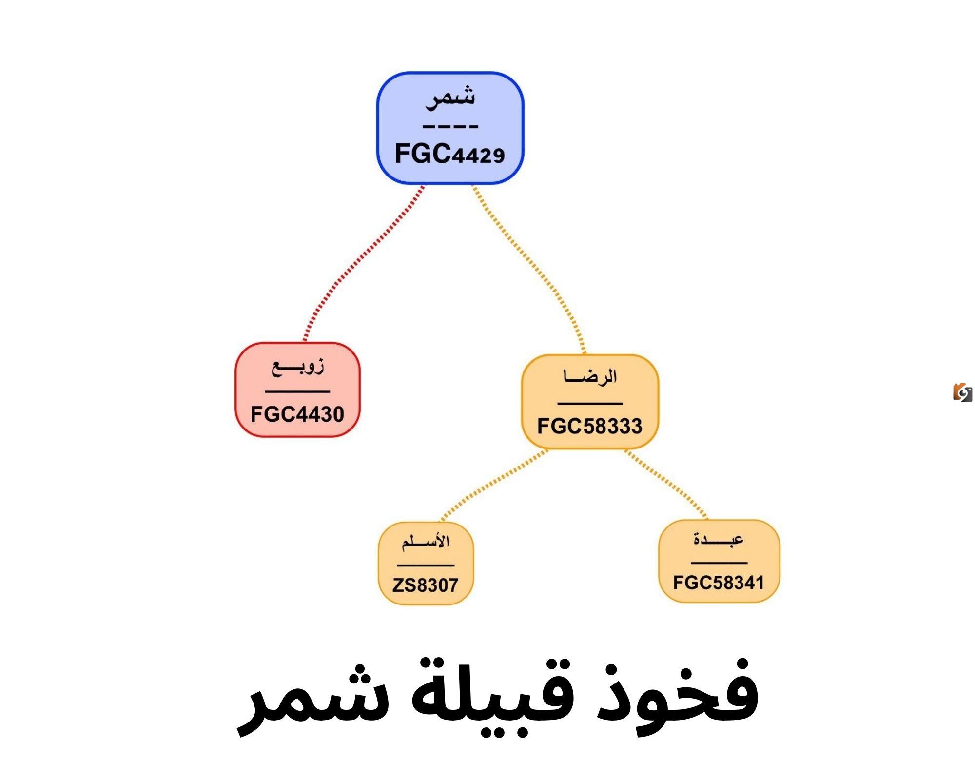 اسماء قبيلة شمر من شيوخ وعوائل القبيلة. اسماء قبيلة شمر من شيوخ وعوائل القبيلة